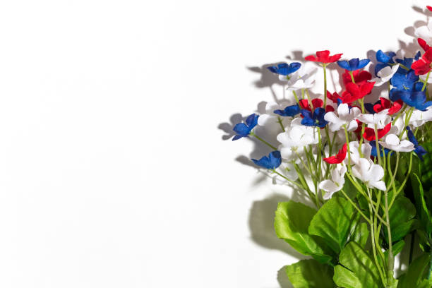 istock USA holiday flower decorations on a white background 1023159106