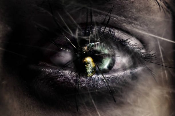 horror spider on vampire eyes stock photo