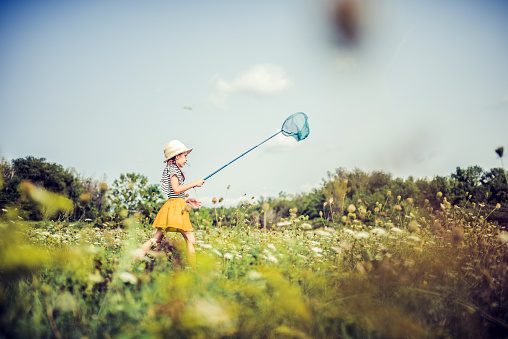Little girl chasing butterflies in a rural uncultivated field