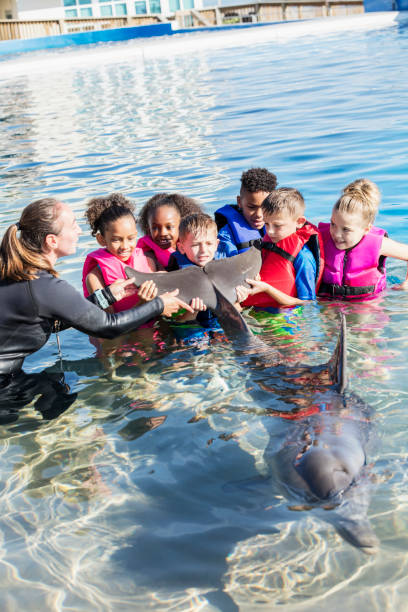 istock Multi-ethnic group of children in water petting dolphin 1023227204