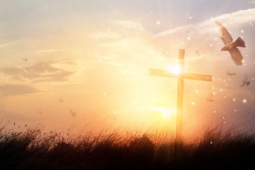 30k+ Holy Cross Pictures | Download Free Images on Unsplash 30k+ Holy Cross Pictures | Download Free Images on Unsplash