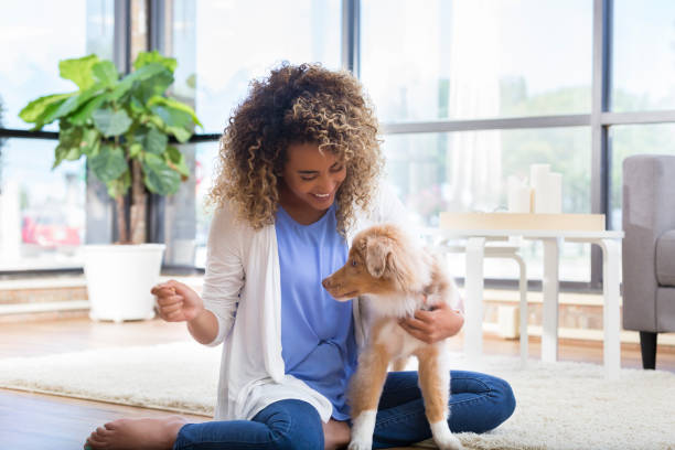 istock Young woman plays with cute dog 1023229514