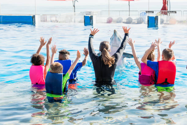 istock Children and trainer in water playing with dolphin 1023229540