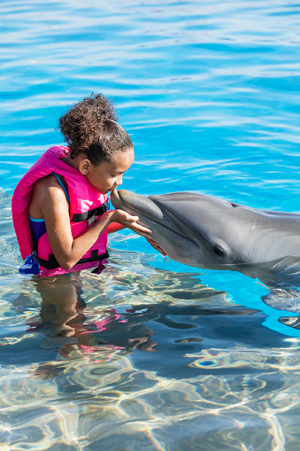An 8 year old African-American girl wearing a life jacket, standing waist deep in water, petting a dolphin, about to kiss its nose.
