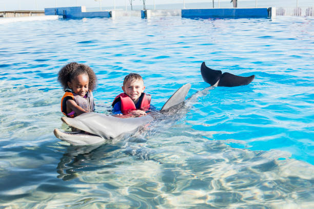 istock Two children standing in water petting dolphin 1023229684