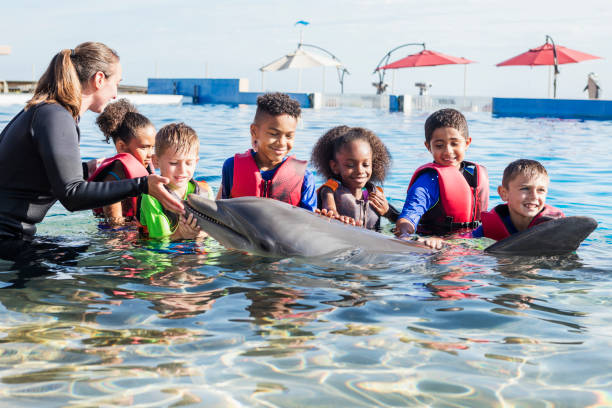 istock Children and trainer in water petting dolphin 1023229688