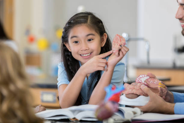 istock Middle schoolgirl studies human organs in biology class 1023229746