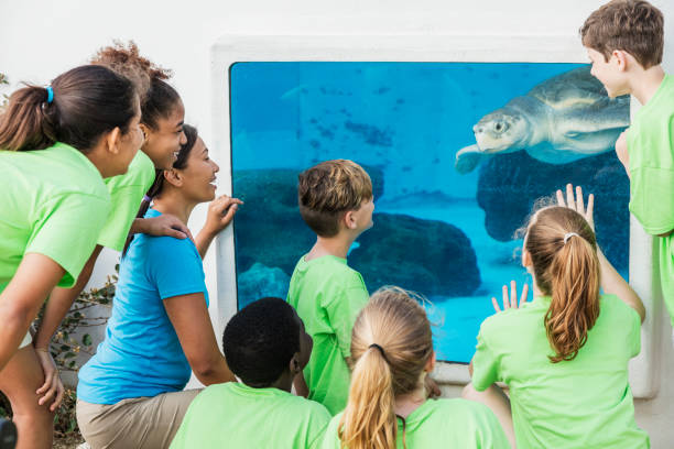 istock Multi-ethnic children, teacher looking at aquarium 1023230102