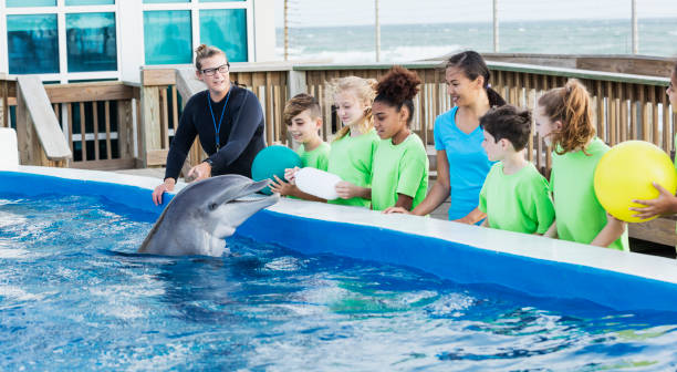 istock Children on field trip, dolphin, trainer at marine park 1023230206