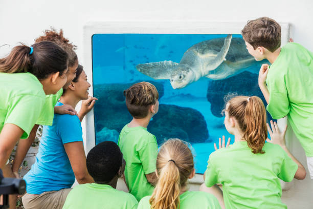 istock Multi-ethnic children, teacher looking at aquarium 1023230230