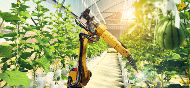 istock Artificial intelligence. Pollinate of fruits and vegetables with robot. Detection spray chemical. Leaf analysis and oliar fertilization. Agriculture farming technology concept. 1023231622