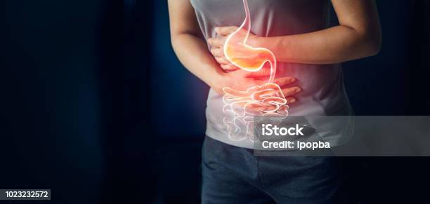Woman Touching Stomach Painful Suffering From Stomachache Causes Of Menstruation Period Gastric Ulcer Appendicitis Or Gastrointestinal System Disease Healthcare And Health Insurance Concept Stock Photo - Download Image Now