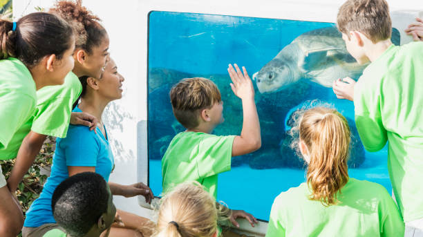 istock Multi-ethnic children, teacher looking at aquarium 1023232578