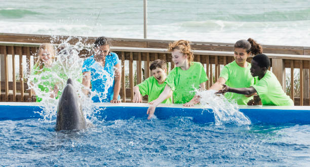 istock Children, teacher at marine park, dolphin splashing 1023232918