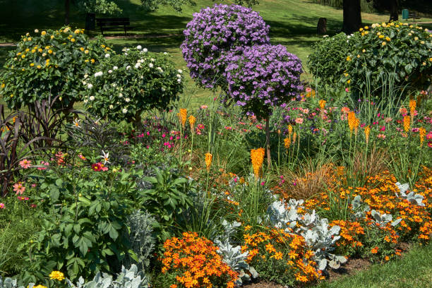 istock Flowers in a park 1023241374