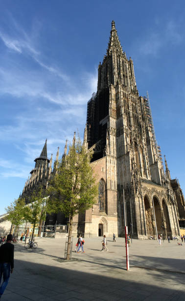 Ulm Minster - The tallest church in the world Ulm Minster ulm minster stock pictures, royalty-free photos & images