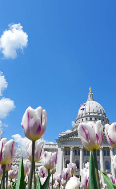 istock Wisconsin State Capitol with spring tulips 1023269974