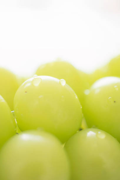 istock White grapes 