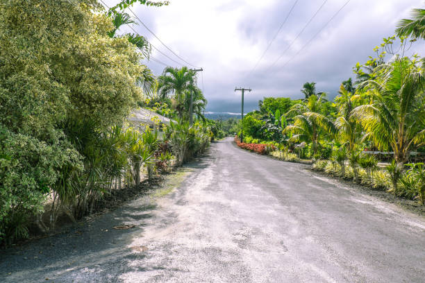 typical rural road on upolu island, samoa, south pacific with lush foliage, plants and gardens - south pacific ocean island polynesia tropical climate imagens e fotografias de stock