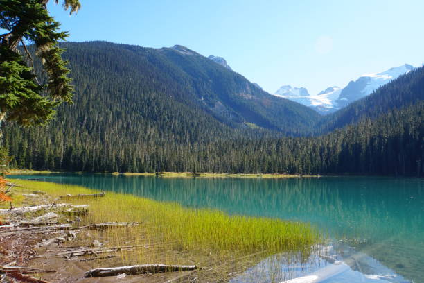 istock Lower Joffre Lake, Canada 1023272916