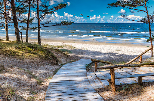 Sandy beach of the Baltic Sea, summer time