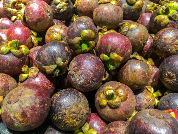 istock Fresh mangosteen in fruit market 1023284310
