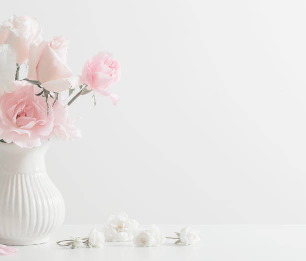 istock pink and white flowers in vase on white background 1023297578