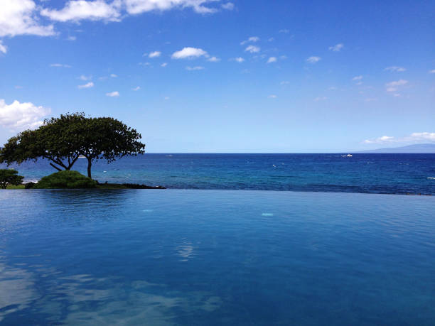istock Infinity swimming pool with the ocean view 1023300940
