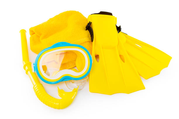 istock Diving equipment goggles,snorkel and flippers on white background. 1023301432