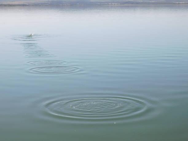 istock Lake Elementaita Nakuru County Kenya 1023330592