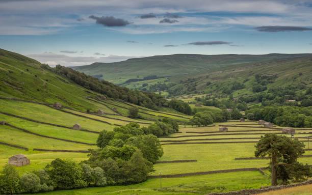 istock The old barns in Swaledale 1023330782