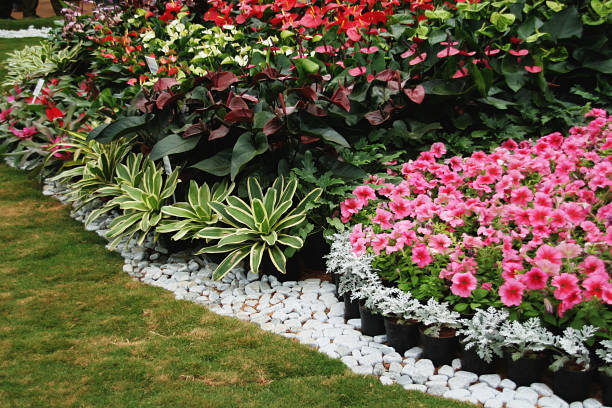 istock Bed of Flowers and Plants 1023330836