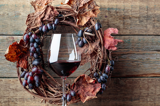 Glass of red wine with grapes and dried vine leaves. Copy space for your text.