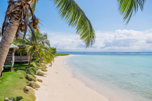 manase beach, savai'i, samoa, south pacific - blue sea and sky with coconut palm trees and fale accommodation - south pacific ocean island polynesia tropical climate imagens e fotografias de stock