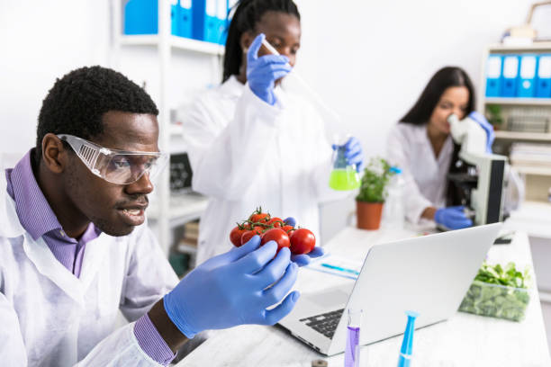 istock Laboratory technicians verify the quality of vegetables 1023353122