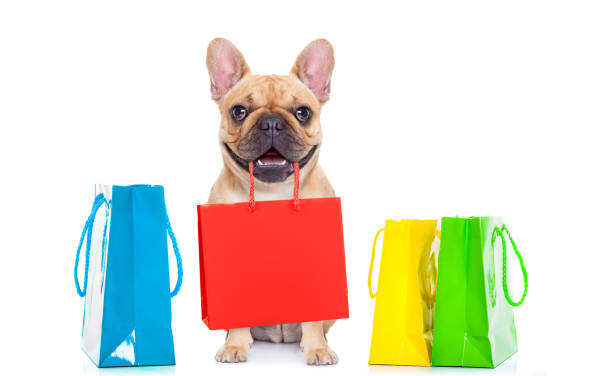 istock sale shopping dog 1023361888