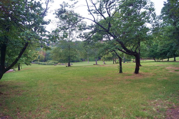 istock Villa Ventaglio park, Florence 1023364808