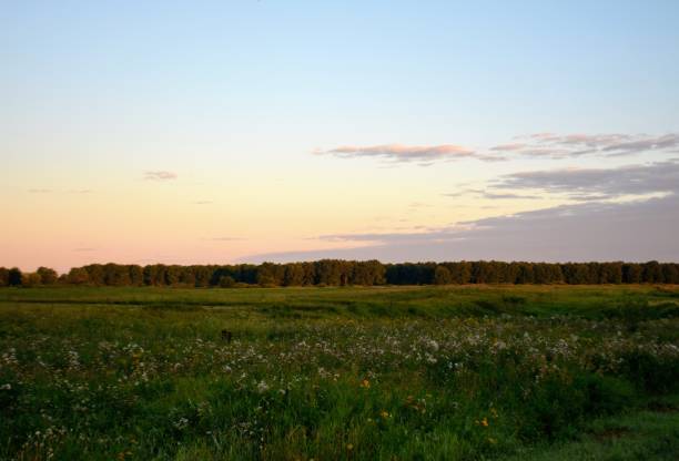 istock good morning, Russia 1023372752