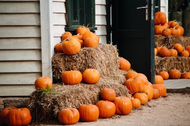 istock Halloween decor celebration holiday 1023382926
