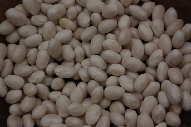 istock Shell beans Paimpol Brittany France 1023384240