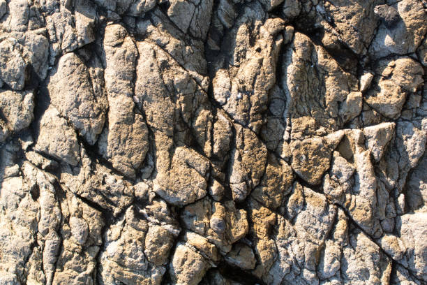 istock Rock or Stone  as  natural background texture 1023387042