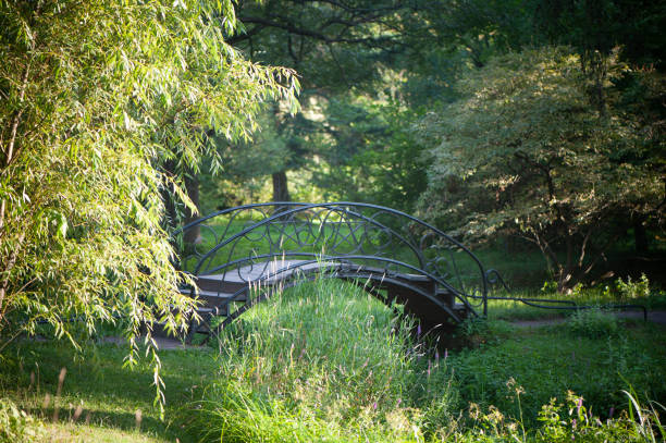 istock The wrought-iron bridge among the trees in the park 1023387514