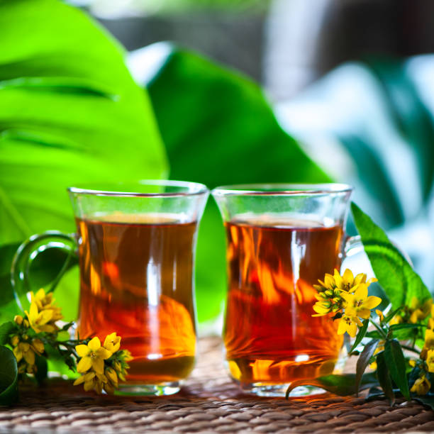 istock Herbal tea made from st. john's wort, organic tea with herbal Hypericum  extracts 1023388188