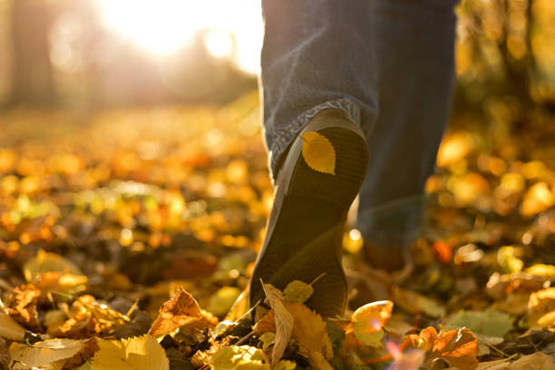 istock Woman boots in fallen autumn leaves. Step to step concept 1023393802