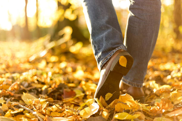 istock Woman boots in fallen autumn leaves. Step to step concept 1023393812