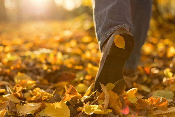 istock Woman boots in fallen autumn leaves. Step to step concept 1023393820