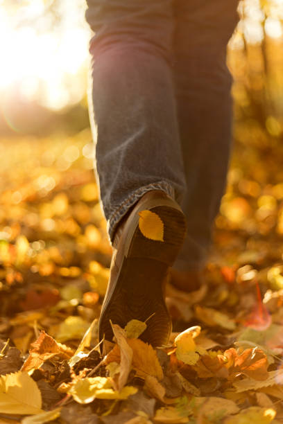 istock Woman boots in fallen autumn leaves. Step to step concept 1023393828