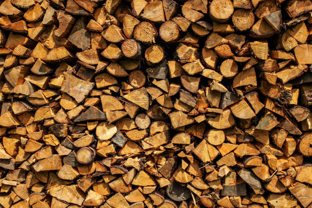 istock Sun shining on stack of firewood. 1023397760