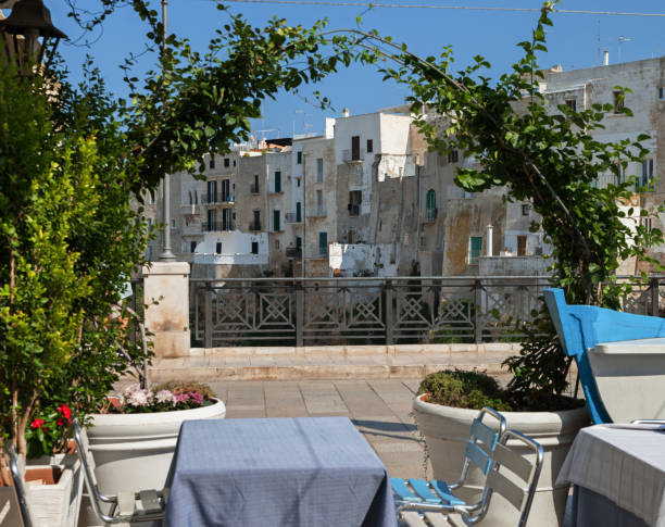 istock View to the bridge and cliff of Polignano a Mare. 1023400920