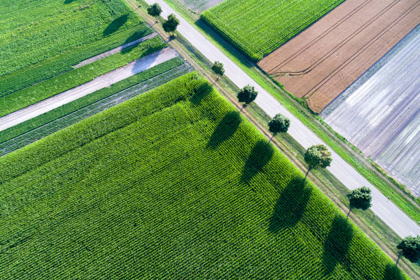 istock Aerial view of road, asparagus and cereal fields 1023401068